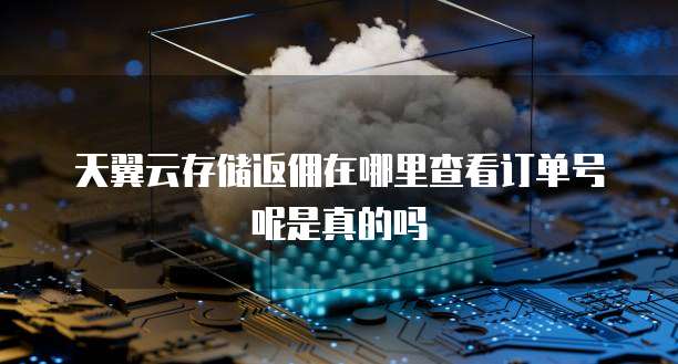 华为云帕鲁服务器链接怎么用啊?