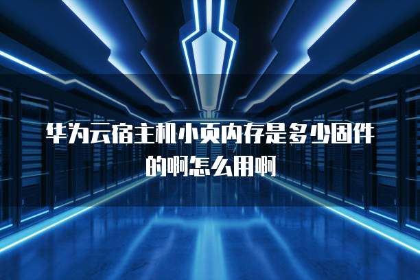 华为云宿主机小页内存是多少固件的啊怎么用啊