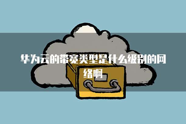 华为云的带宽类型是什么级别的网络啊