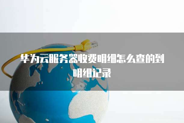 华为云服务器收费明细怎么查的到明细记录