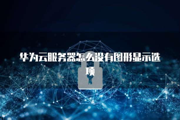 华为云服务器怎么没有图形显示选项