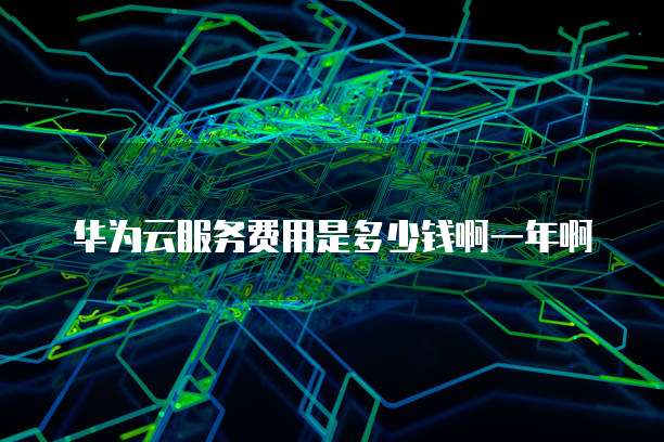 华为云服务费用是多少钱啊一年啊