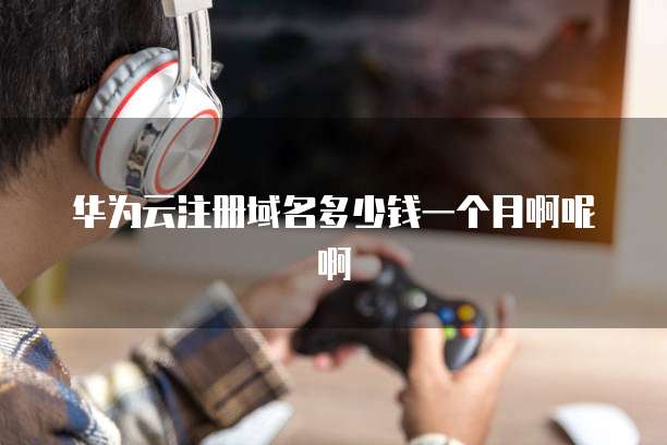 华为云注册域名多少钱一个月啊呢啊
