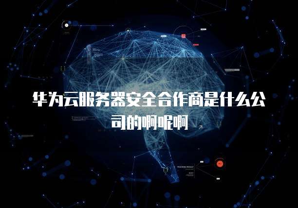 华为云服务器安全合作商是什么公司的啊呢啊