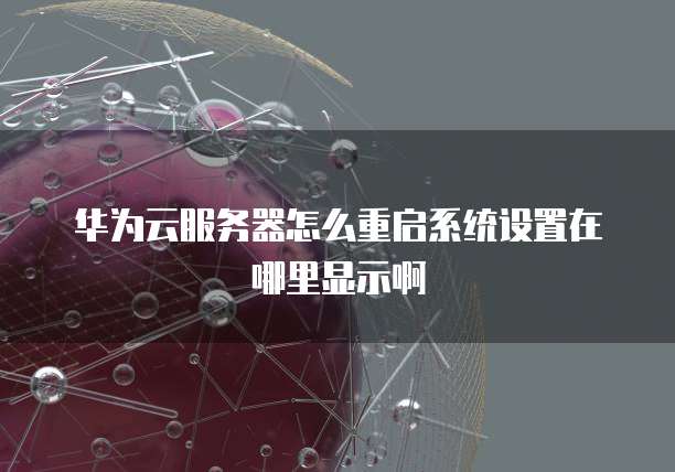 华为云服务器怎么重启系统设置在哪里显示啊