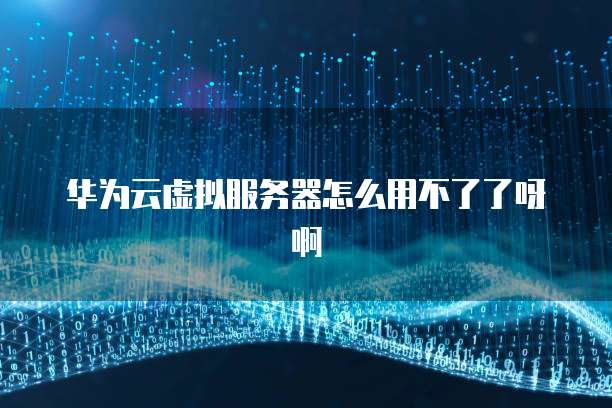 华为云虚拟服务器怎么用不了了呀啊