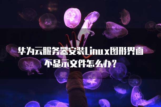 华为云服务器安装Linux图形界面不显示文件怎么办？