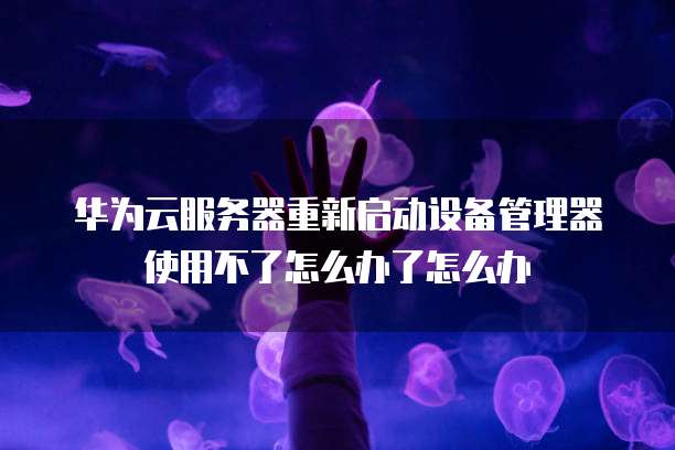 华为云服务器重新启动设备管理器使用不了怎么办了怎么办