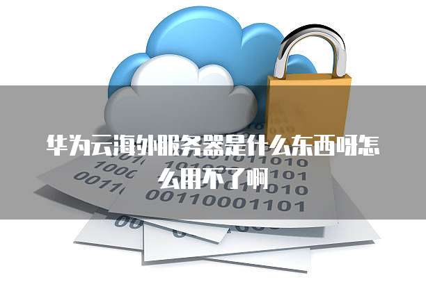 华为云海外服务器是什么东西呀怎么用不了啊
