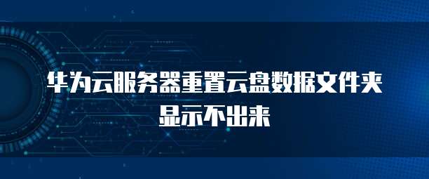 华为云服务器重置云盘数据文件夹显示不出来