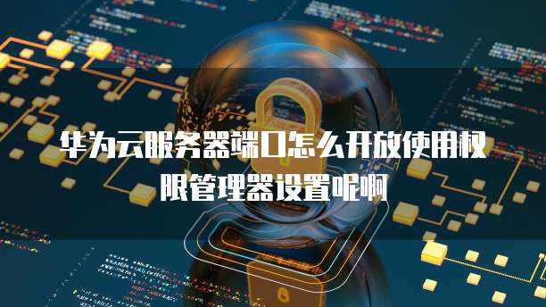 华为云服务器端口怎么开放使用权限管理器设置呢啊