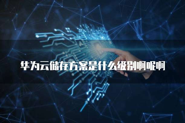 华为云储存方案是什么级别啊呢啊