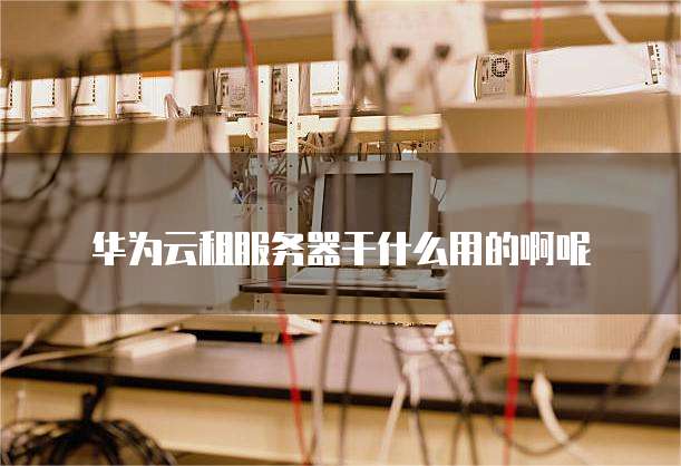 华为云租服务器干什么用的啊呢