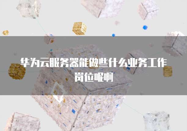 华为云服务器能做些什么业务工作岗位呢啊
