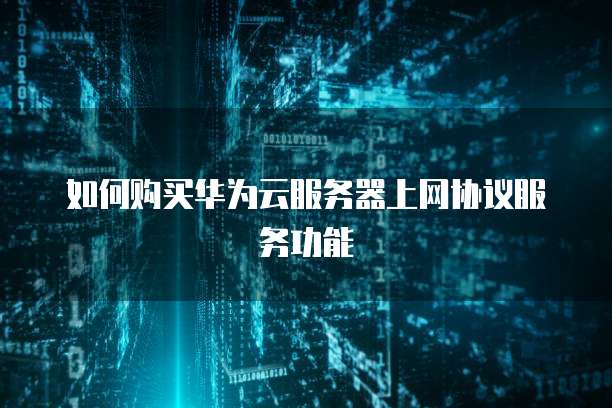 如何购买华为云服务器上网协议服务功能