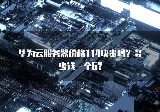 华为云服务器价格114块贵吗?多少钱一个G?