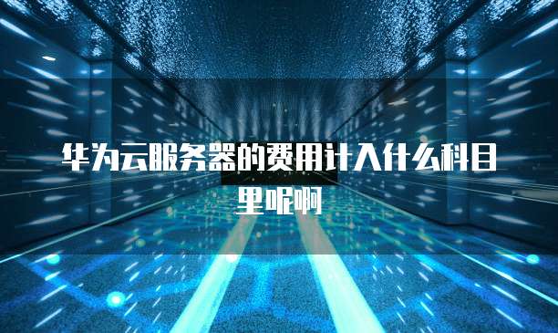 华为云服务器的费用计入什么科目里呢啊