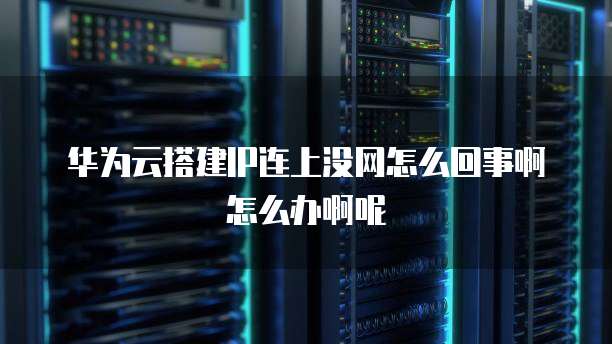 华为云搭建IP连上没网怎么回事啊怎么办啊呢