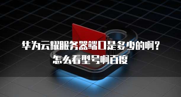 华为云耀服务器端口是多少的啊?怎么看型号啊百度