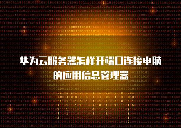 华为云服务器怎样开端口连接电脑的应用信息管理器