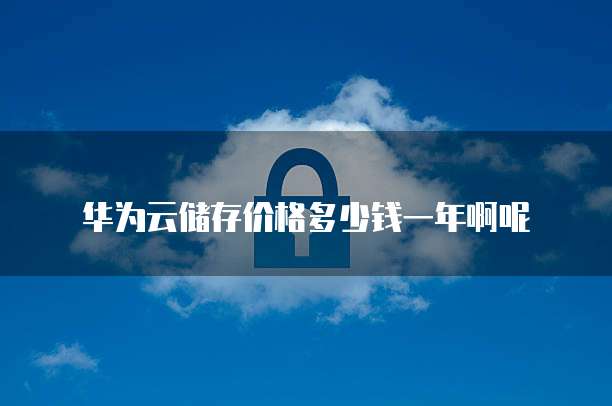 华为云储存价格多少钱一年啊呢