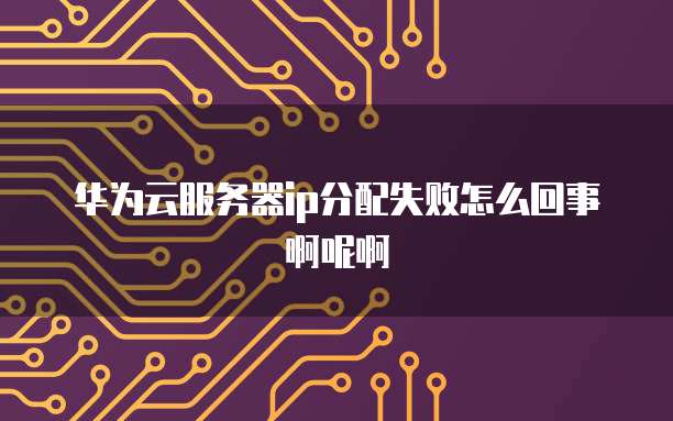 华为云服务器ip分配失败怎么回事啊呢啊