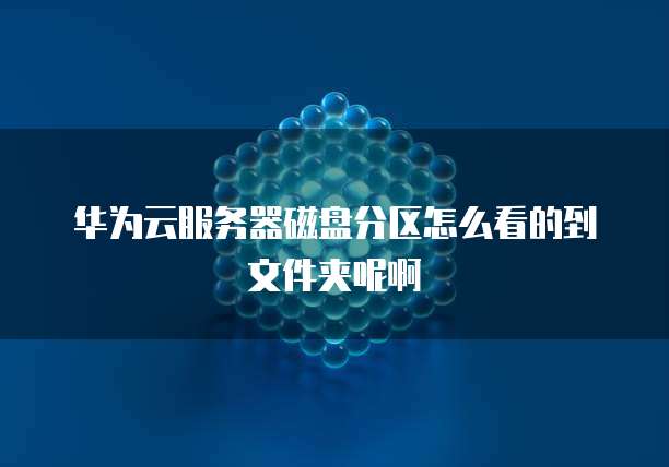 华为云服务器磁盘分区怎么看的到文件夹呢啊