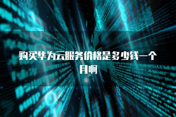 购买华为云服务价格是多少钱一个月啊