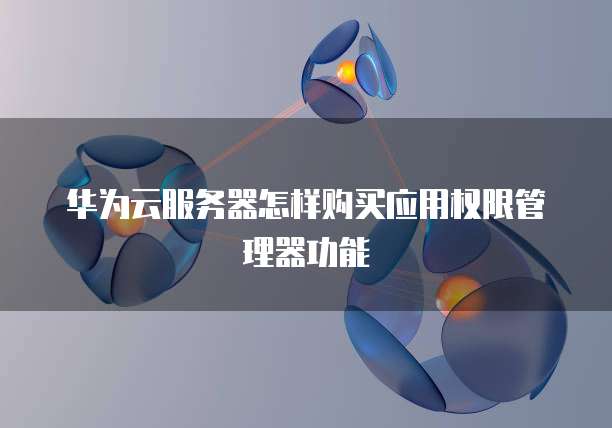 华为云服务器怎样购买应用权限管理器功能