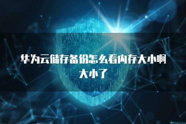 华为云储存备份怎么看内存大小啊大小了