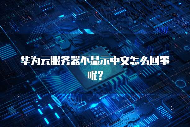 华为云服务器不显示中文怎么回事呢?
