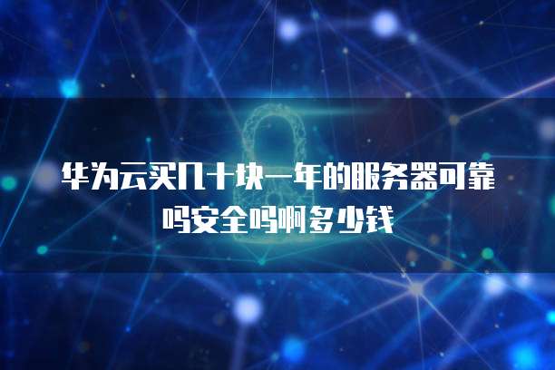 华为云买几十块一年的服务器可靠吗安全吗啊多少钱