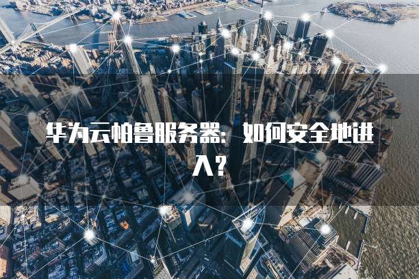 华为云帕鲁服务器：如何安全地进入？