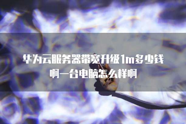 华为云服务器带宽升级1m多少钱啊一台电脑怎么样啊