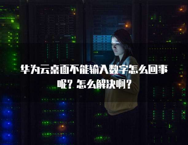 华为云桌面不能输入数字怎么回事呢?怎么解决啊?