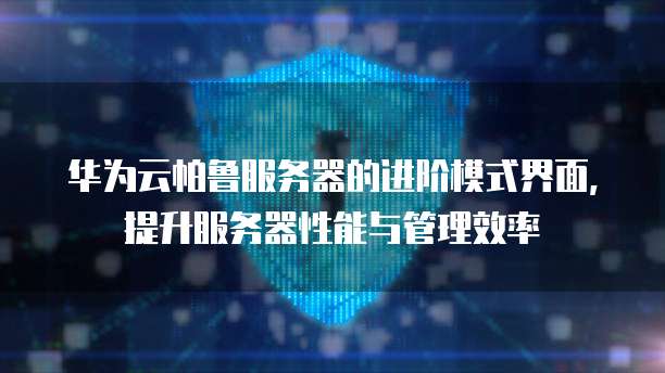 华为云帕鲁服务器的进阶模式界面,提升服务器性能与管理效率