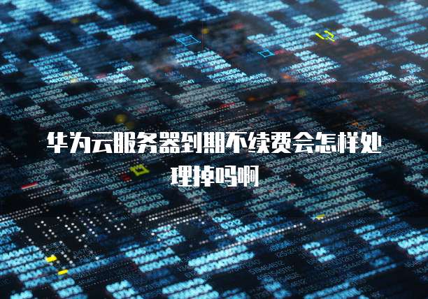 华为云服务器到期不续费会怎样处理掉吗啊