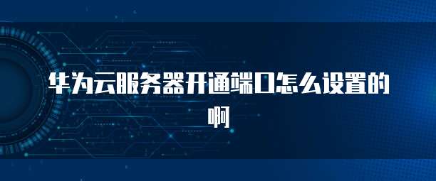 华为云服务器开通端口怎么设置的啊