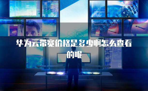 华为云带宽价格是多少啊怎么查看的呢