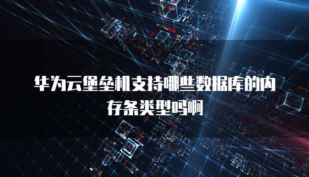 华为云堡垒机支持哪些数据库的内存条类型吗啊