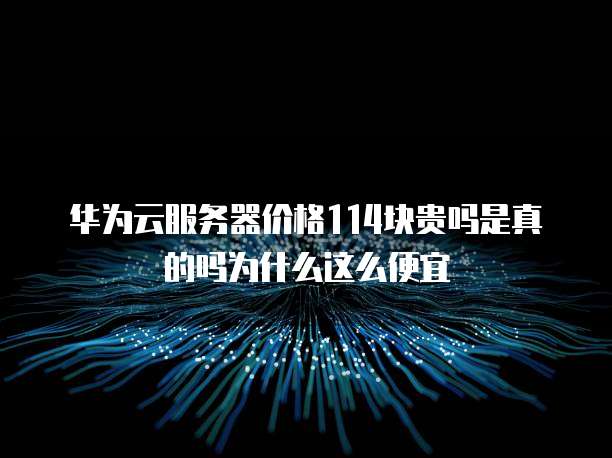 华为云服务器价格114块贵吗是真的吗为什么这么便宜