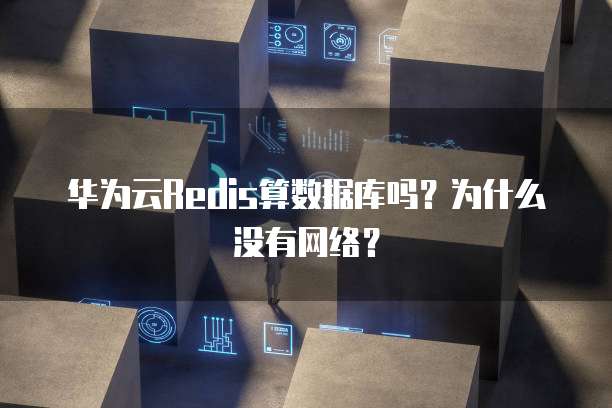 华为云Redis算数据库吗?为什么没有网络?