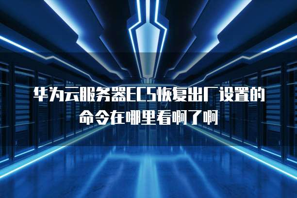 华为云服务器ECS恢复出厂设置的命令在哪里看啊了啊
