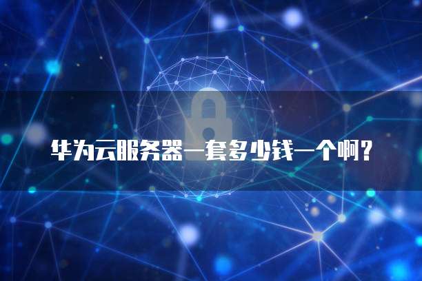 华为云服务器一套多少钱一个啊?