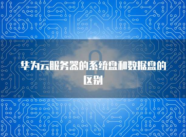 华为云服务器:原生IP的真相