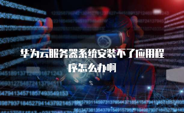 华为云服务器系统安装不了应用程序怎么办啊
