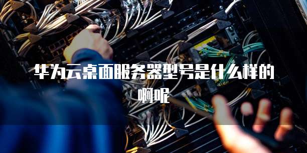 华为云桌面服务器型号是什么样的啊呢