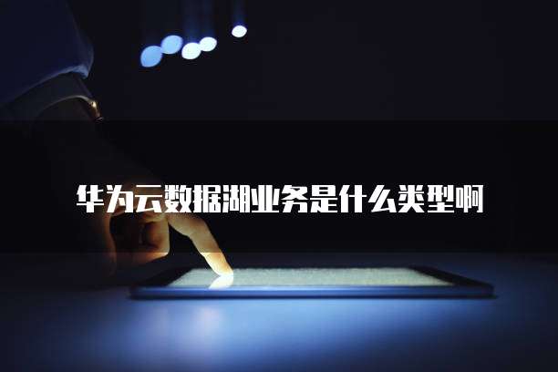 华为云数据湖业务是什么类型啊