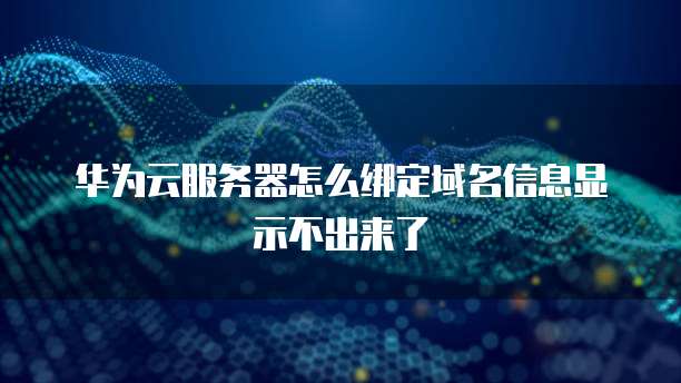 华为云服务器怎么绑定域名信息显示不出来了