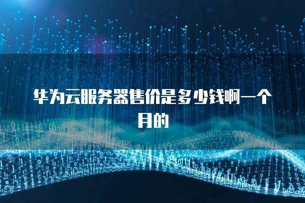 华为云服务器售价是多少钱啊一个月的